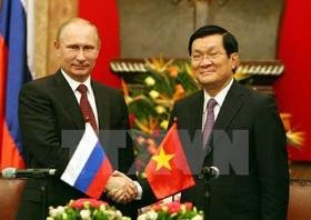 В г.Хошимине отметили 65-летие установления дипотношений между Вьетнамом и Россией  - ảnh 1